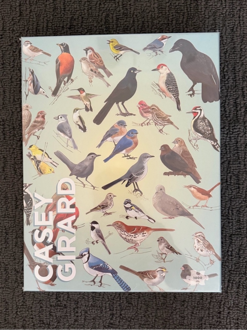 Pomegranate puzzles Backyard Birds 1000 pc New by Casey Girard